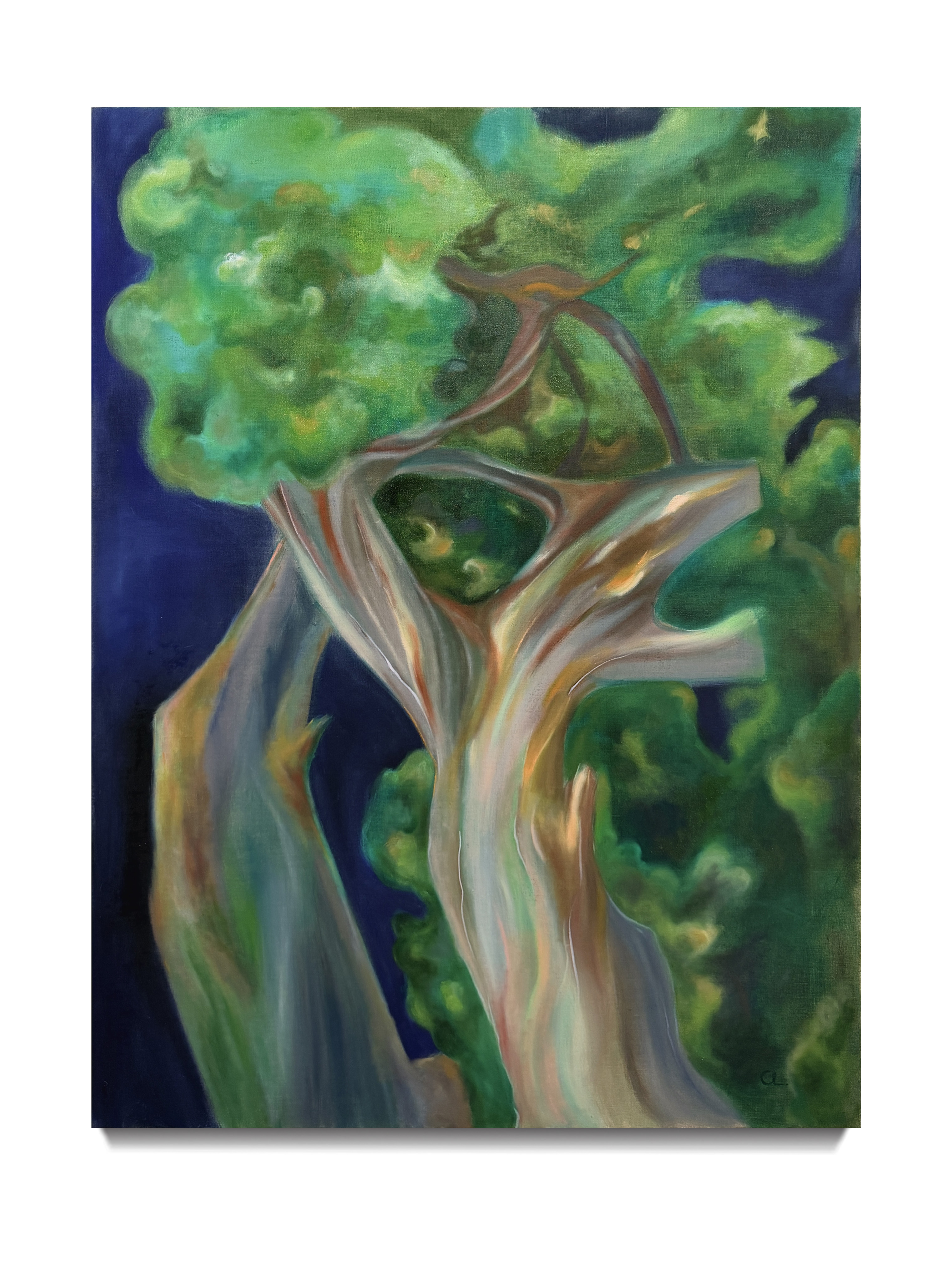 Whisper of the Dark 120*90cm Oil on linen 2025