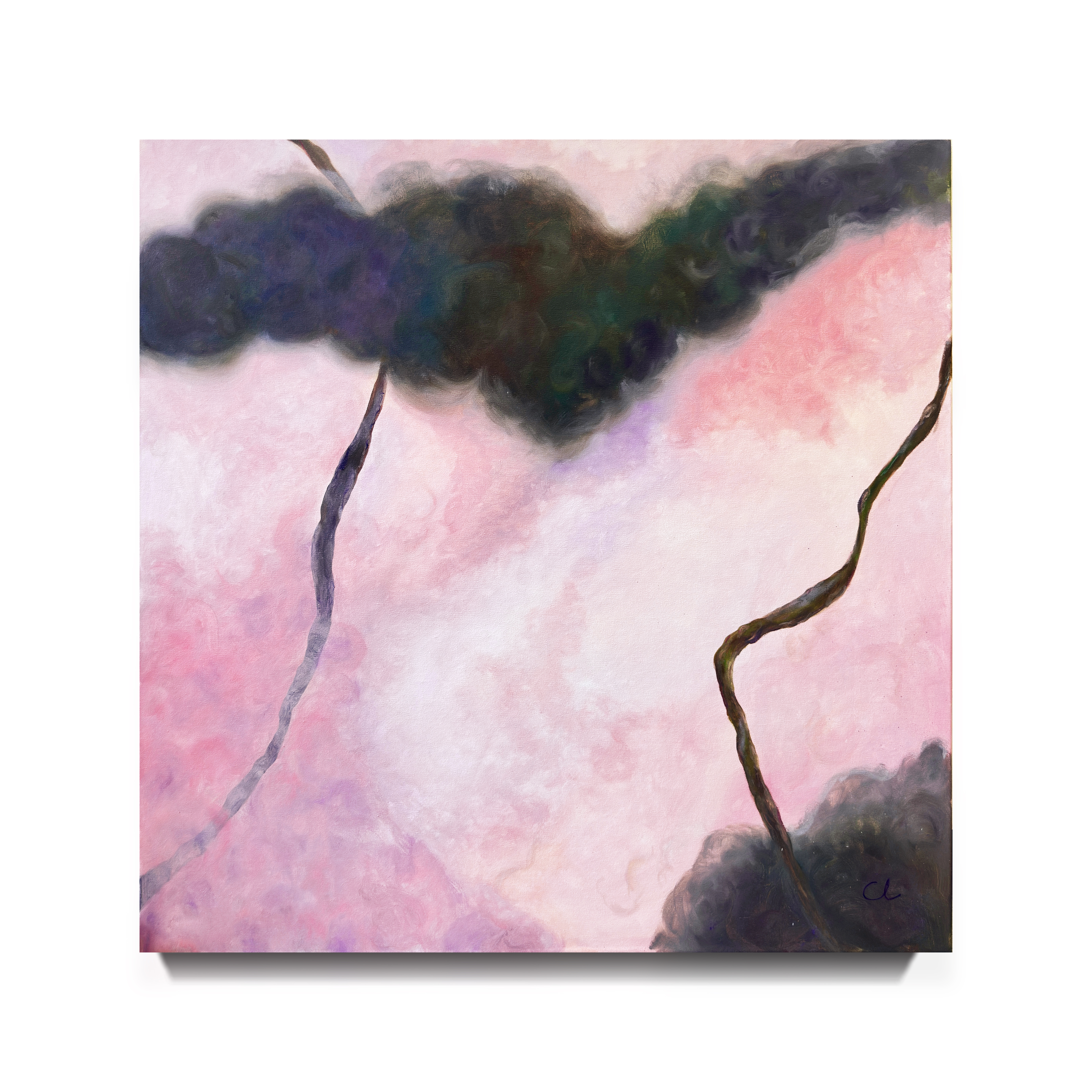 Sakura 90*90cm Oil on canvas 2024